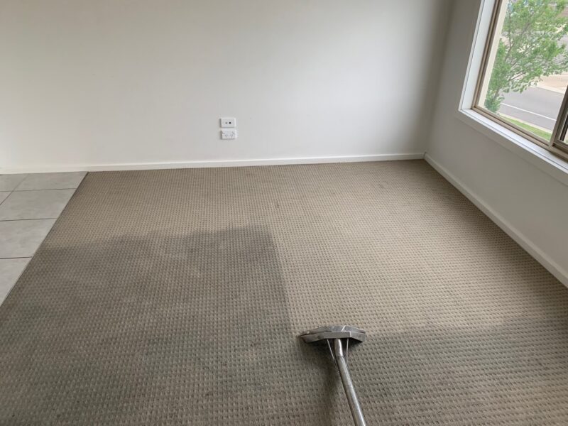 dirty carpet