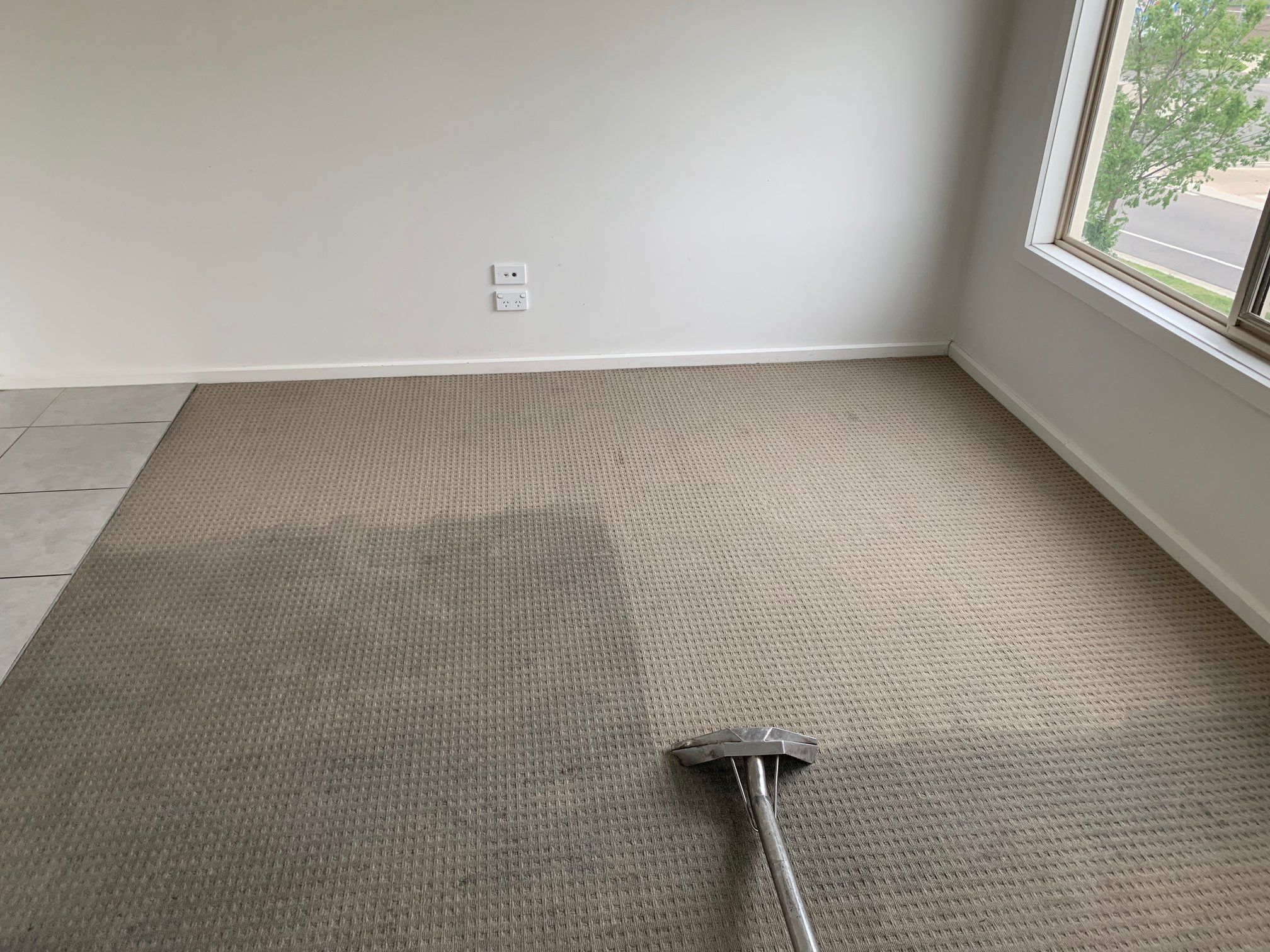 Why Carpet Cleaning Is Important - JimsCleaning.com.au
