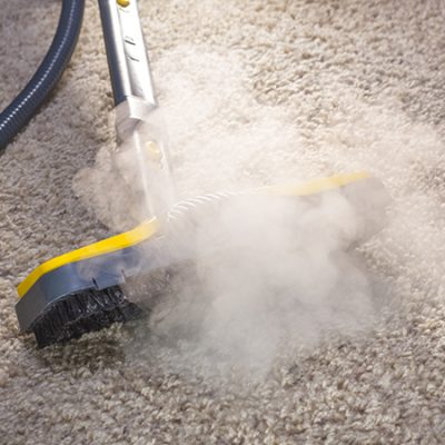 Sacramento Ca Cleaning Services Stanley Steemer