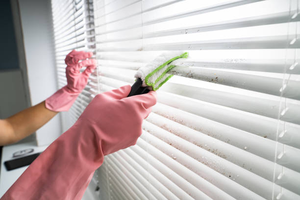 The Ultimate Guide To Cleaning Blinds