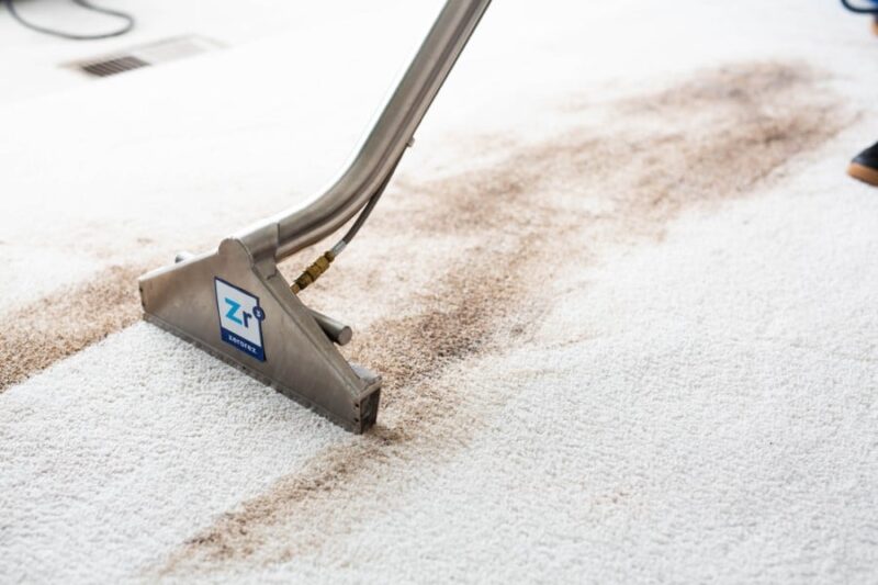 10 Carpet Cleaning Tips That Will Keep Your Carpet Clean