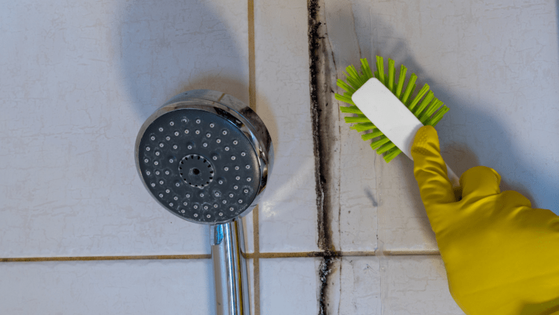 The Science of Grout Discoloration: Causes and Preventive Measures